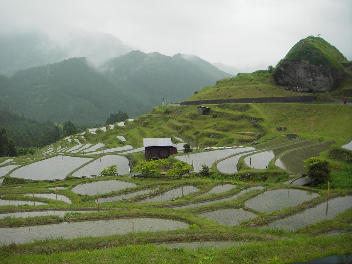 Hostel Kumano Backpackers Tanabe Exteriér fotografie