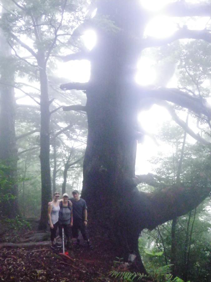 Hostel Kumano Backpackers Tanabe Exteriér fotografie